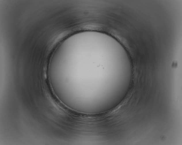 X0000093530062200710121158