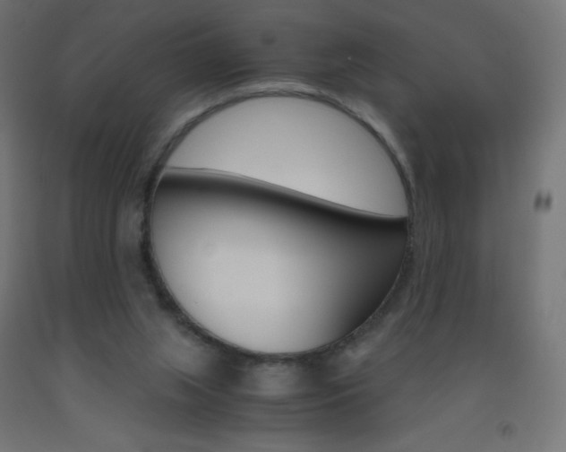 X0000093530063200710121158