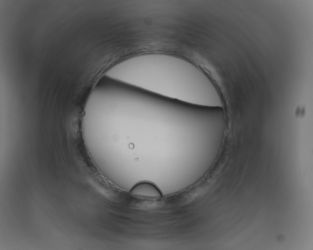 X0000093530065200710121158
