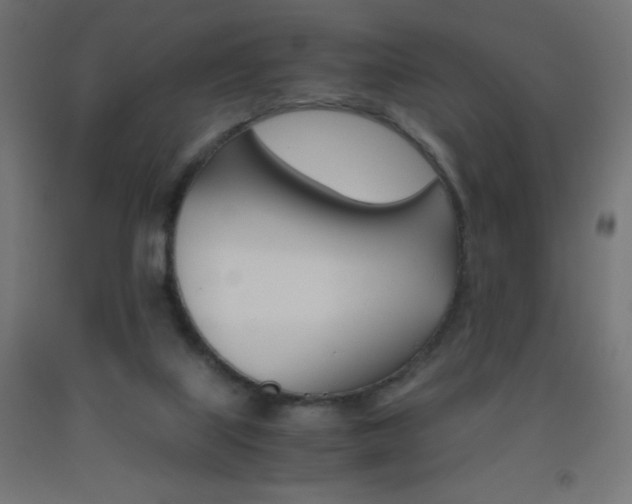 X0000093530067200710121158