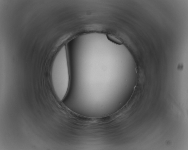 X0000093530068200710121158