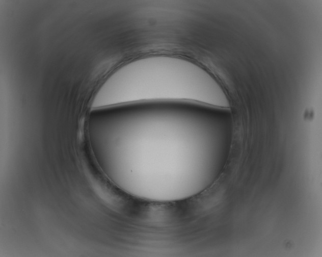X0000093530070200710121158