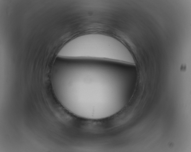 X0000093530073200710121158