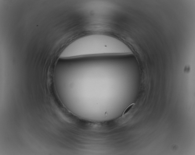 X0000093530074200710121158