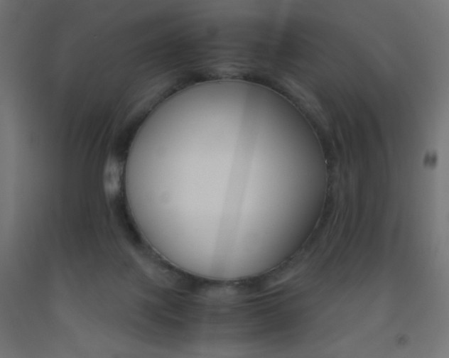 X0000093530075200710121158