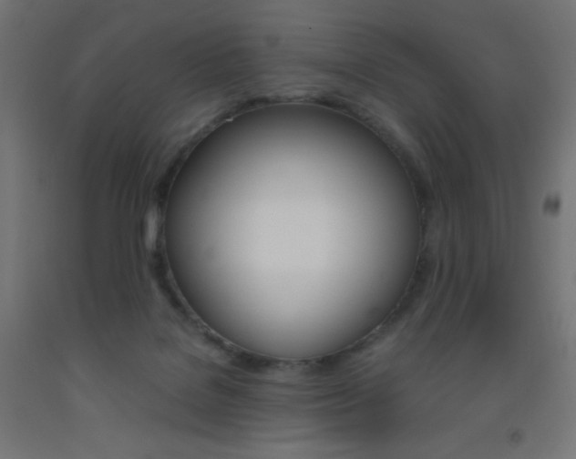 X0000093530076200710121158