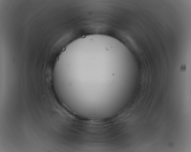 X0000093530077200710121158