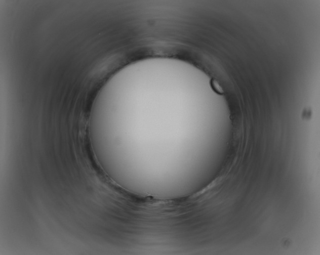 X0000093530078200710121158