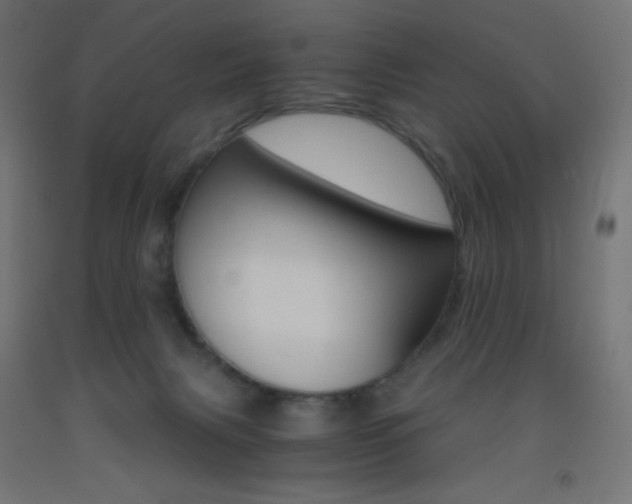 X0000093530079200710121158