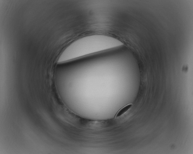 X0000093530082200710121158