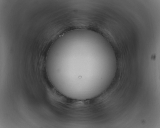 X0000093530083200710121158