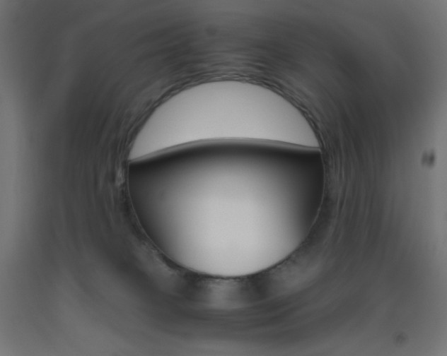 X0000093530085200710121158