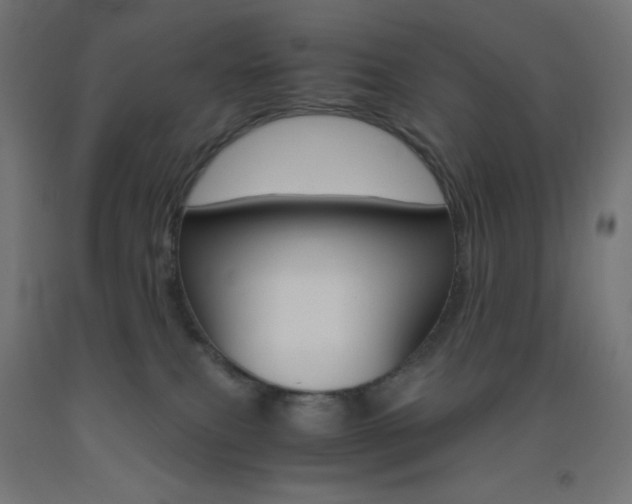 X0000093530087200710121158