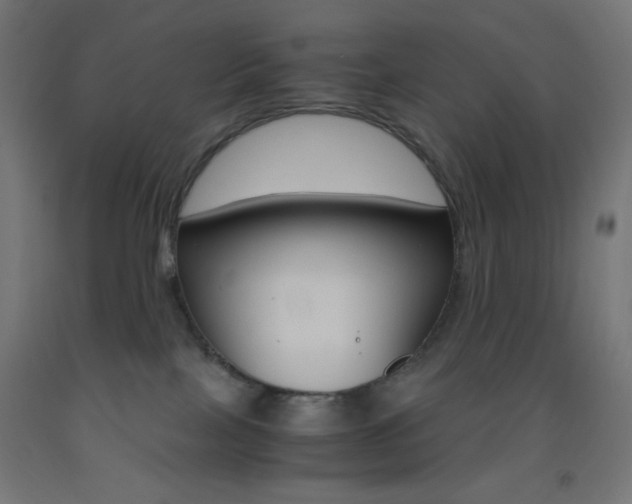 X0000093530089200710121158
