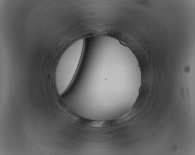 X0000093530090200710121158