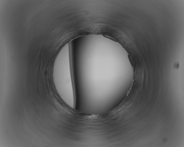 X0000093530092200710121158