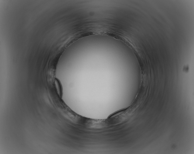 X0000093530093200710121158