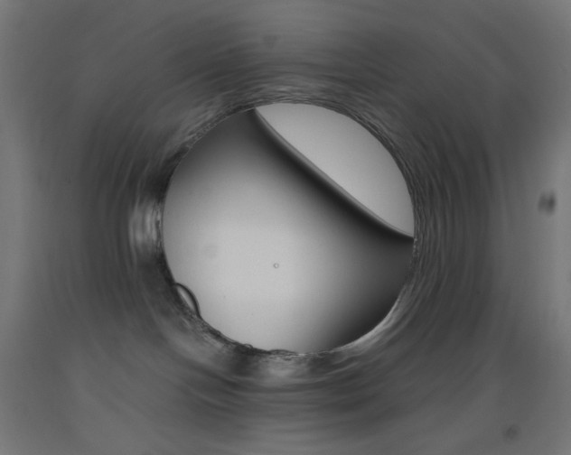 X0000093530094200710121158
