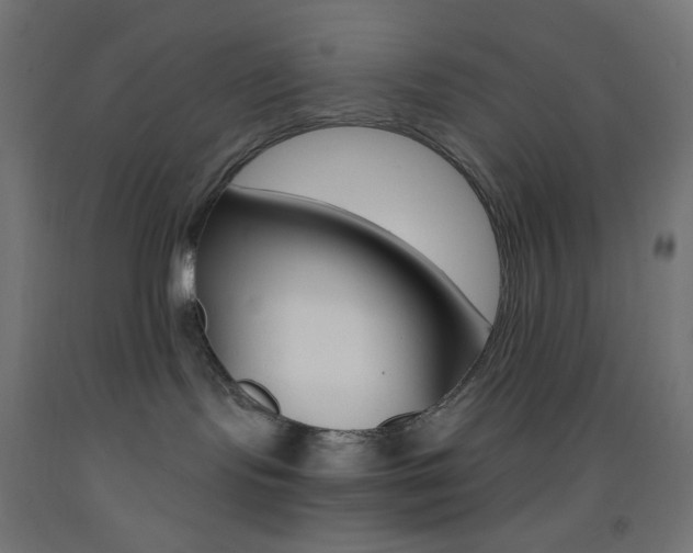 X0000093530095200710121158