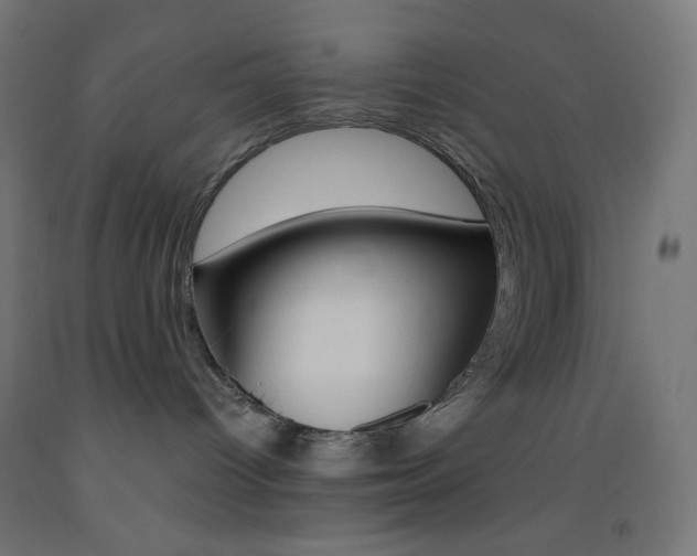 X0000093530096200710121158