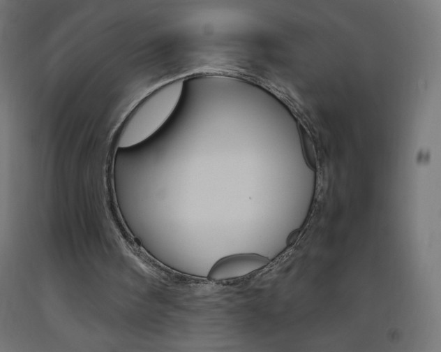 X0000093530098200710121158