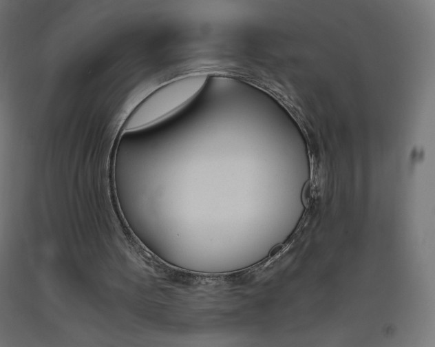 X0000093530099200710121158
