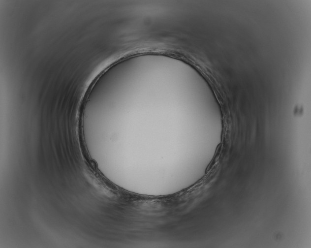 X0000093530100200710121158