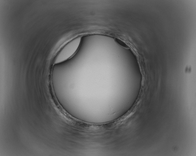 X0000093530101200710121158