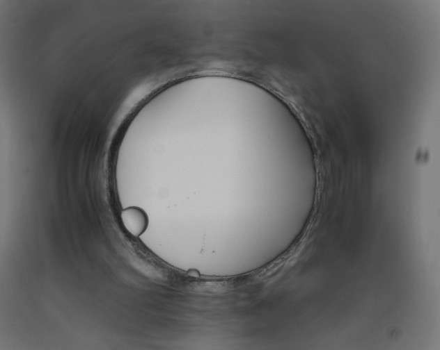 X0000093530102200710121158