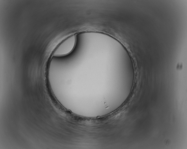 X0000093530103200710121158
