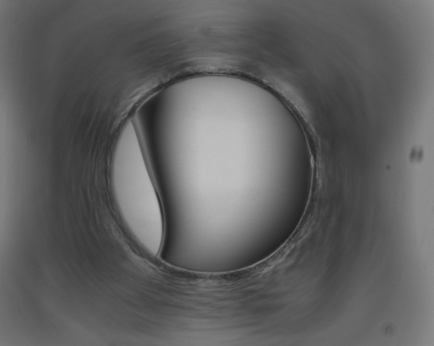 X0000093530105200710121157