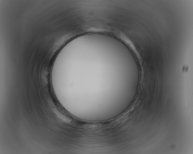X0000093530106200710121157
