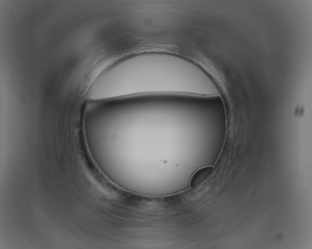 X0000093530107200710121157