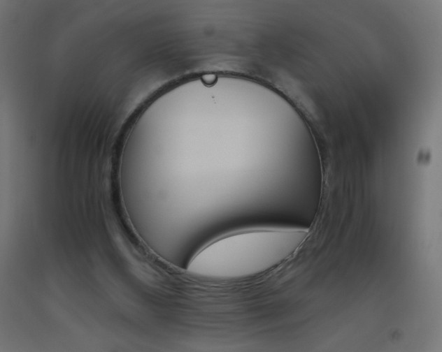 X0000093530108200710121157