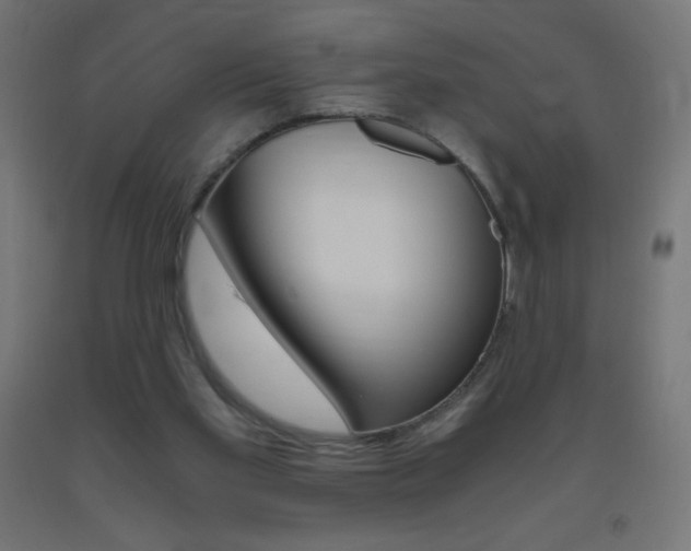 X0000093530109200710121157