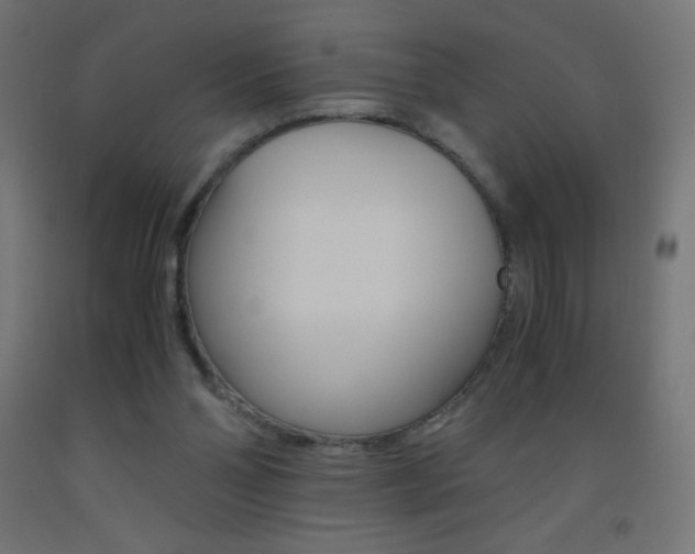 X0000093530110200710121157
