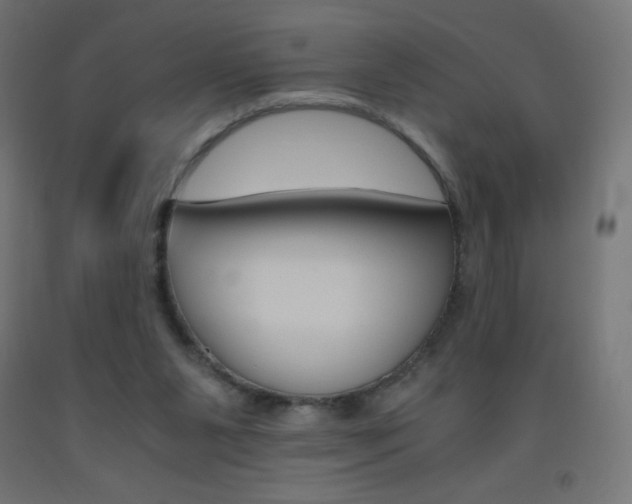 X0000093530111200710121157
