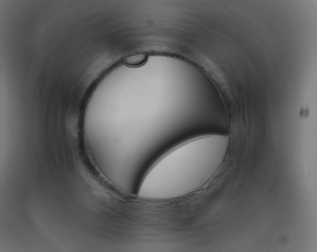 X0000093530112200710121157