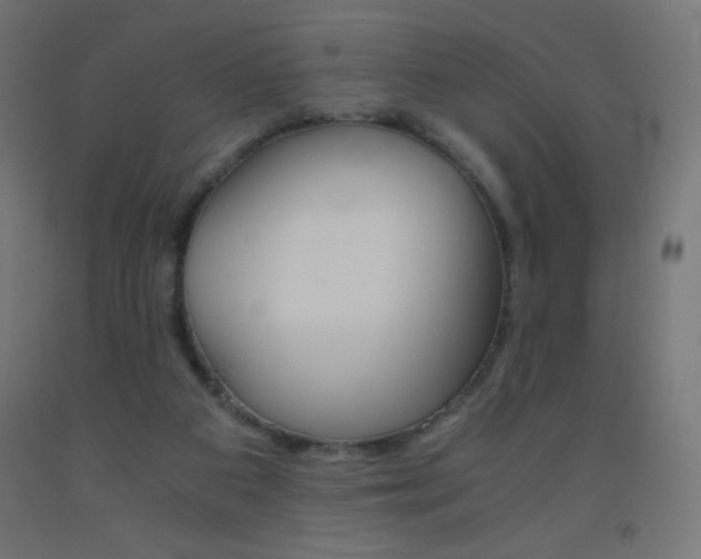 X0000093530113200710121157