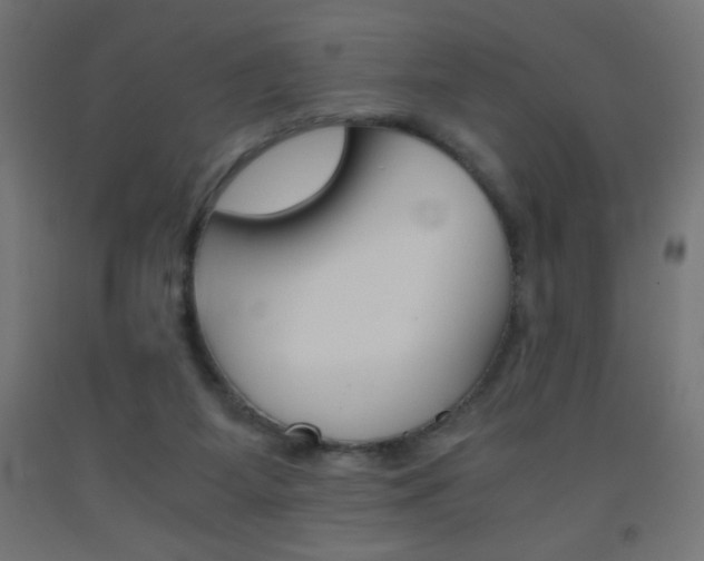 X0000093530115200710121157