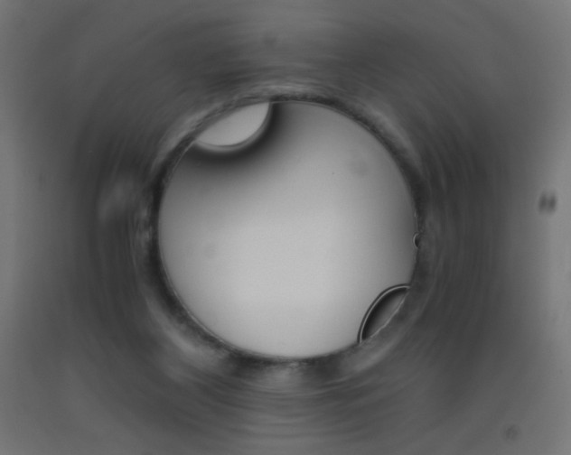 X0000093530116200710121157