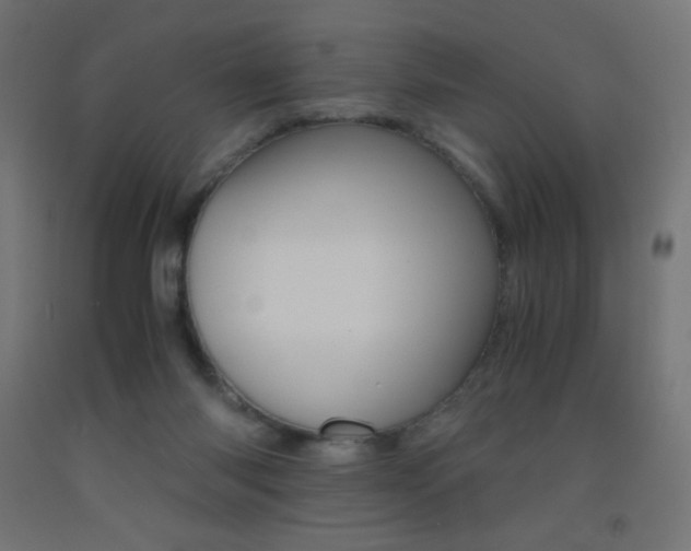 X0000093530118200710121157