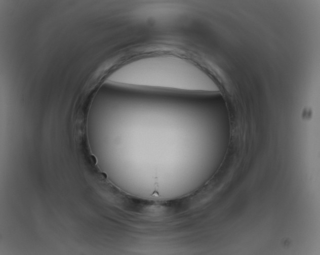 X0000093530119200710121157