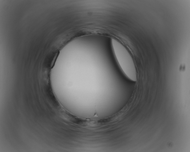 X0000093530121200710121157