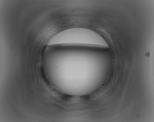 X0000093530123200710121157
