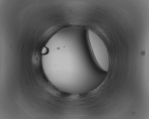 X0000093530124200710121157