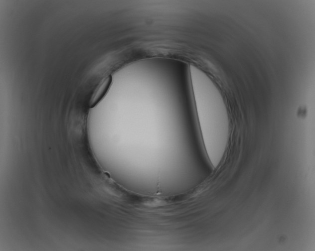 X0000093530125200710121157