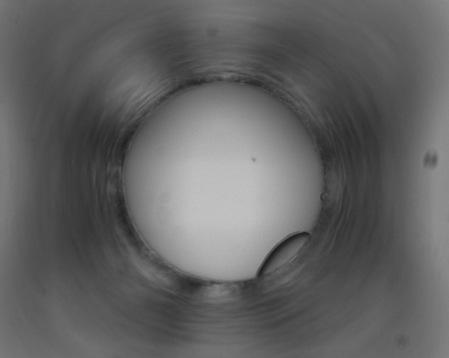 X0000093530126200710121157