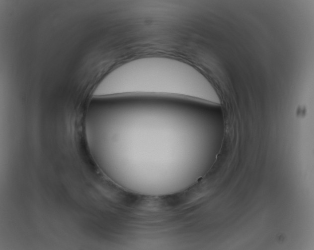 X0000093530127200710121157