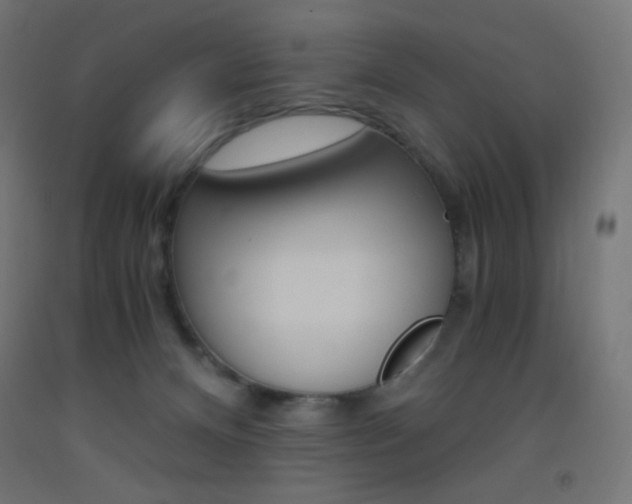 X0000093530128200710121157